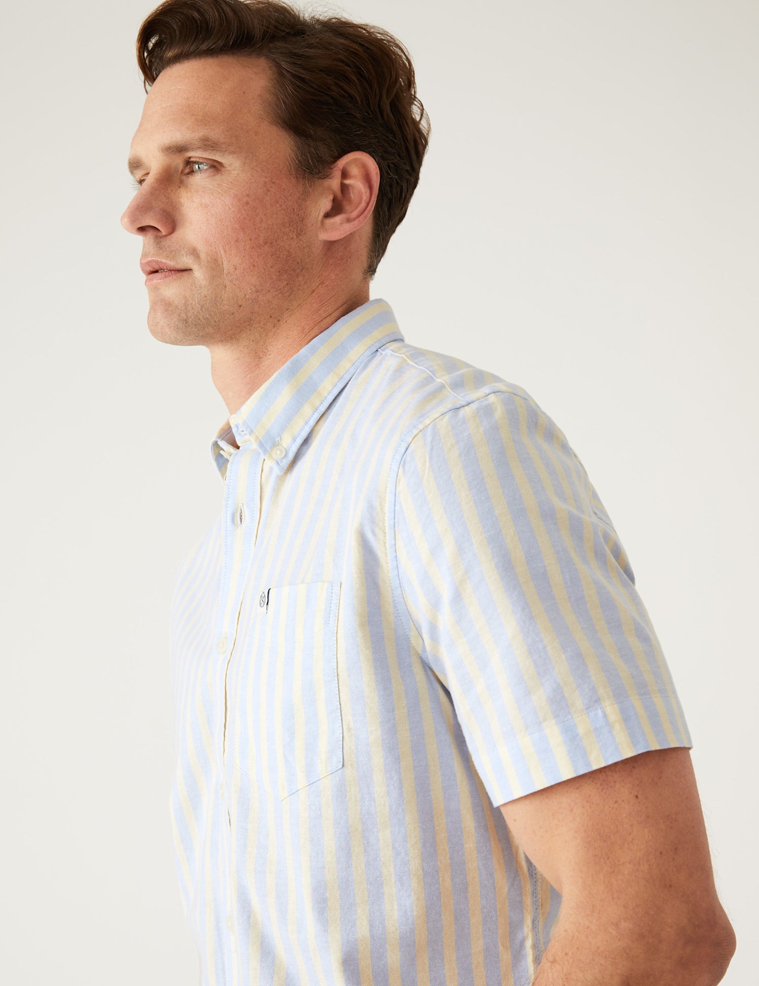 Pure Cotton Striped Oxford Shirt