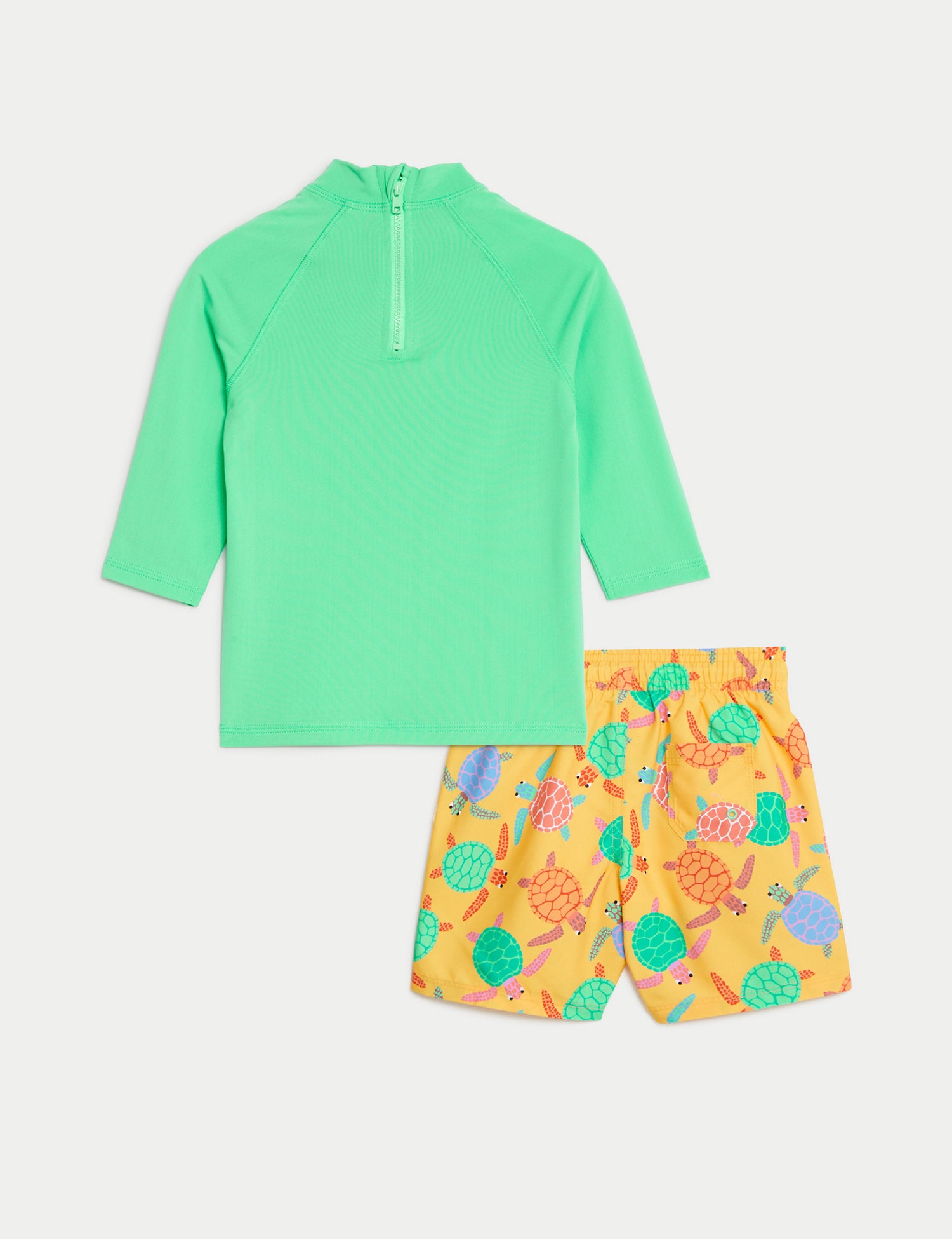 2pc Turtle Swim Set