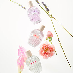 YOUR HOLIDAY GLOW STARTS HERE