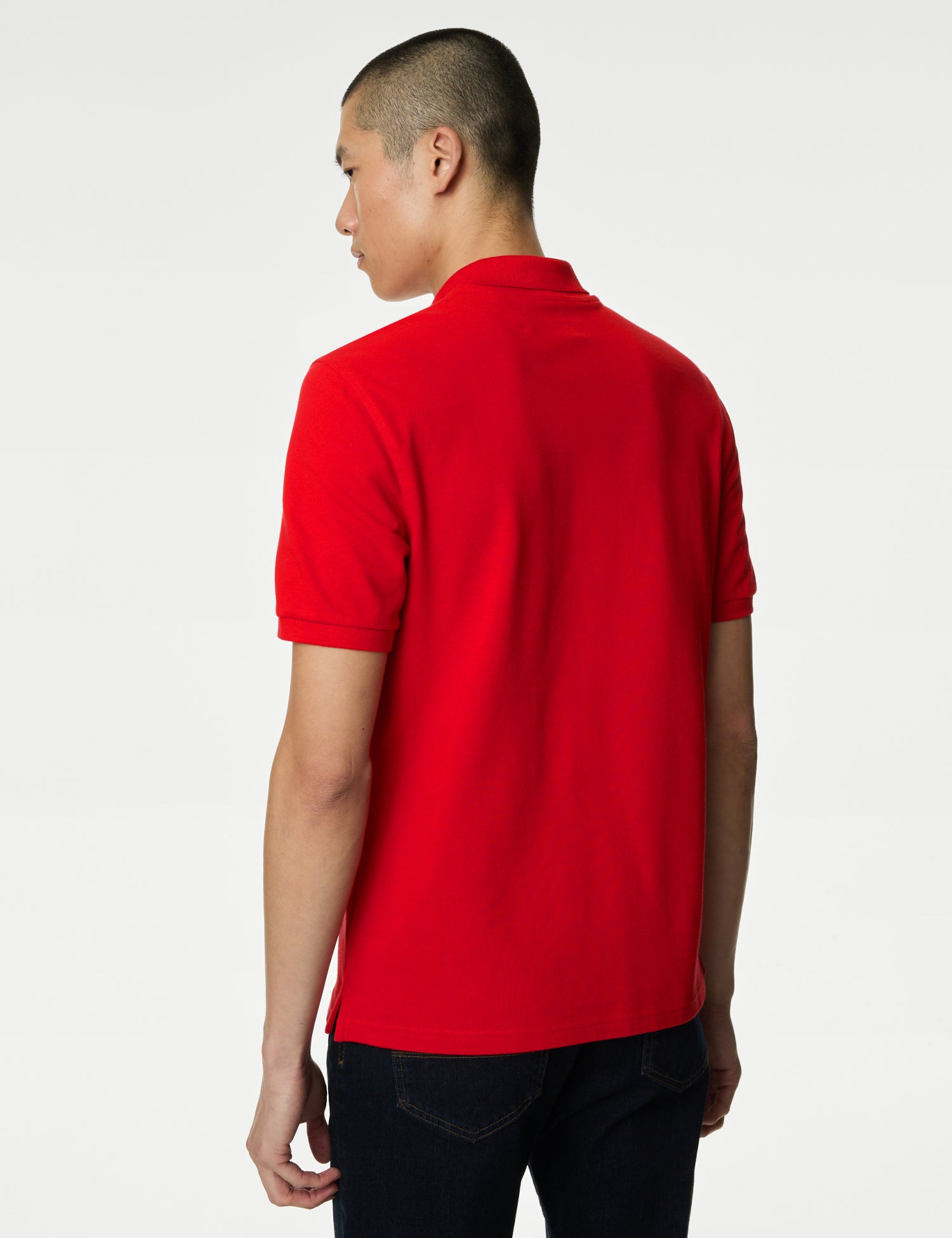 Pure Cotton Spencer Bear™ Wales Polo Shirt