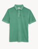 Pure Cotton Polo Shirt