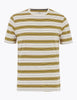 Pure Cotton Striped T-Shirt