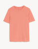 Regular Fit Pure Cotton Crew Neck T-Shirt