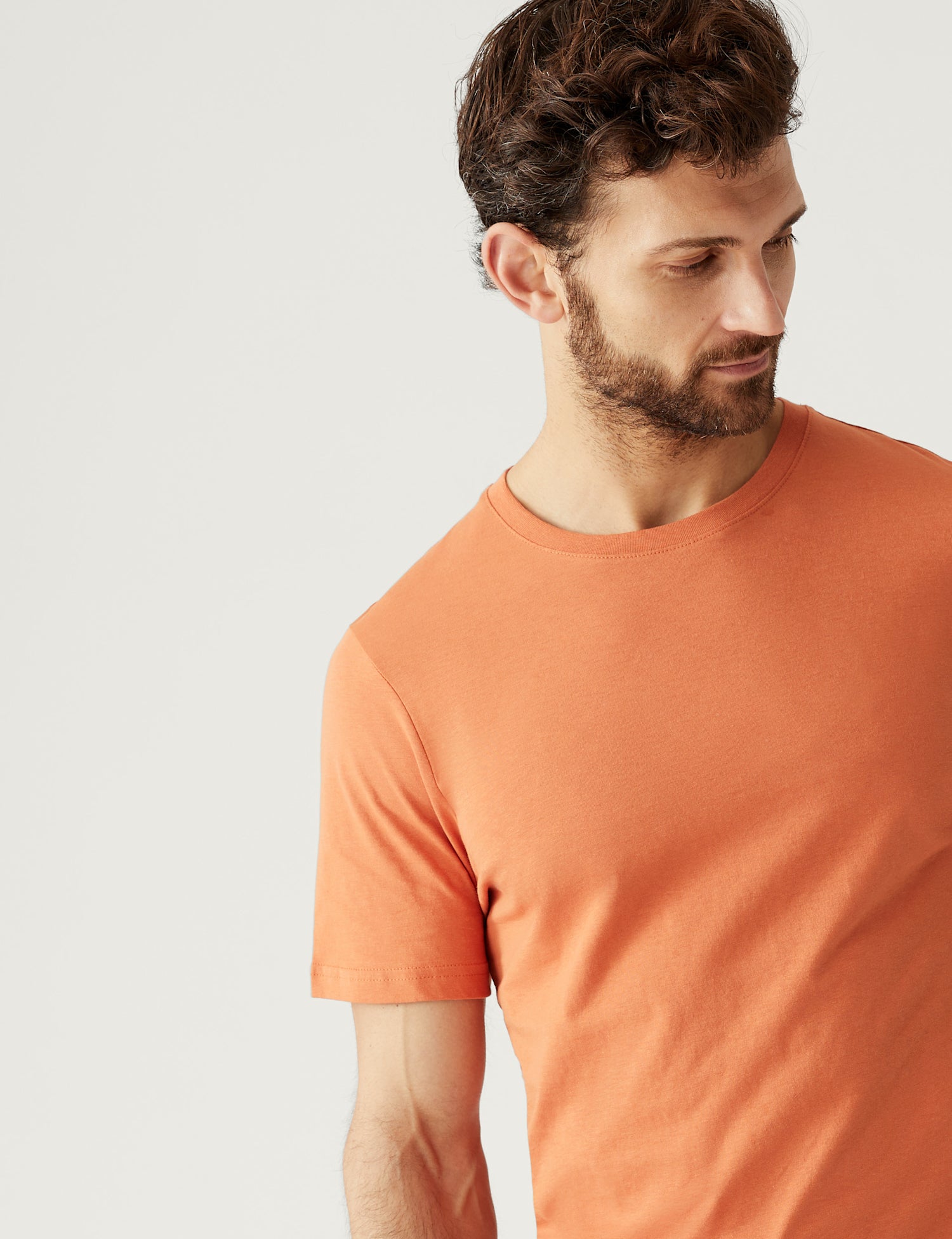 Regular Fit Pure Cotton Crew Neck T-Shirt