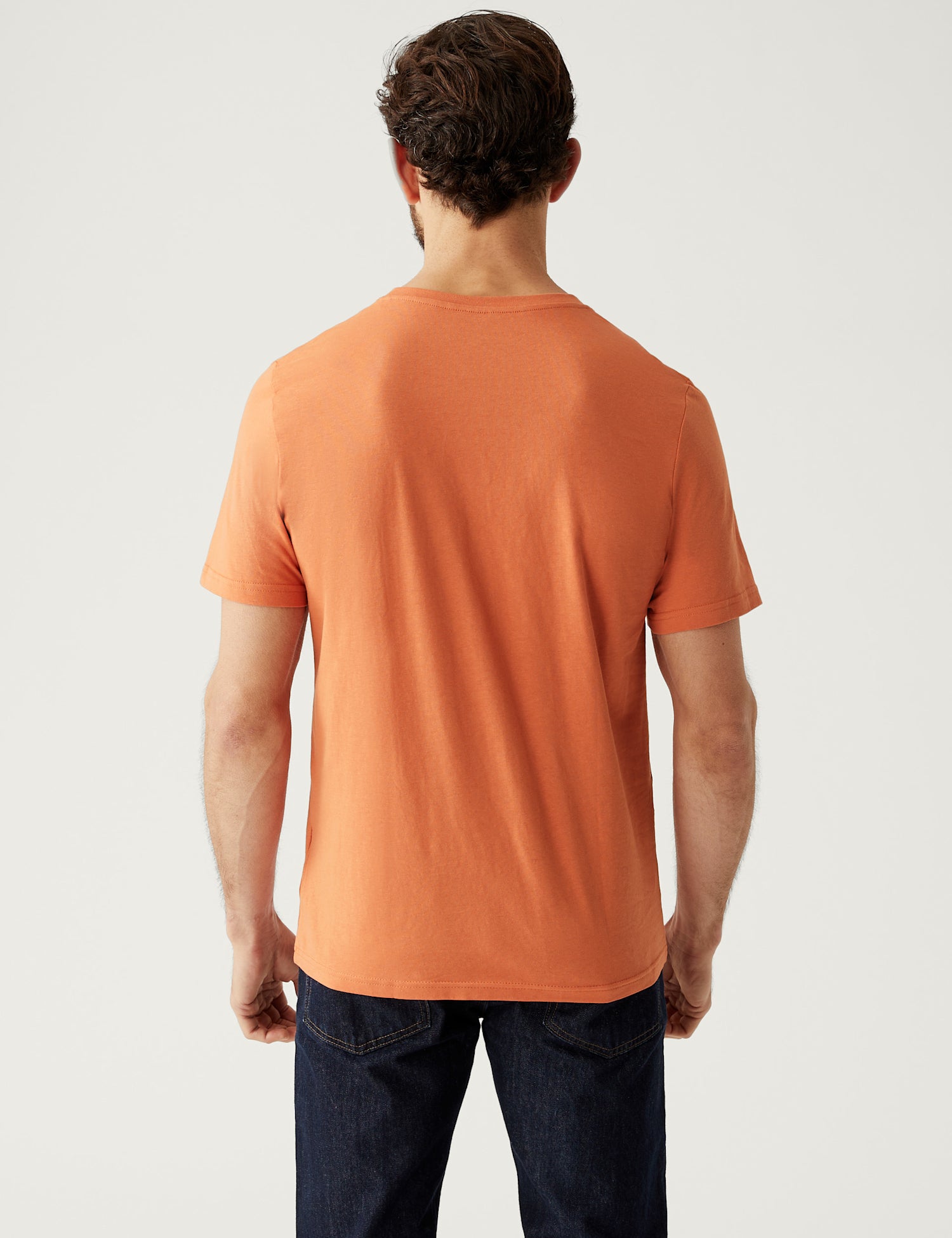Regular Fit Pure Cotton Crew Neck T-Shirt