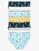 7 Pack Dinosaur Print Briefs