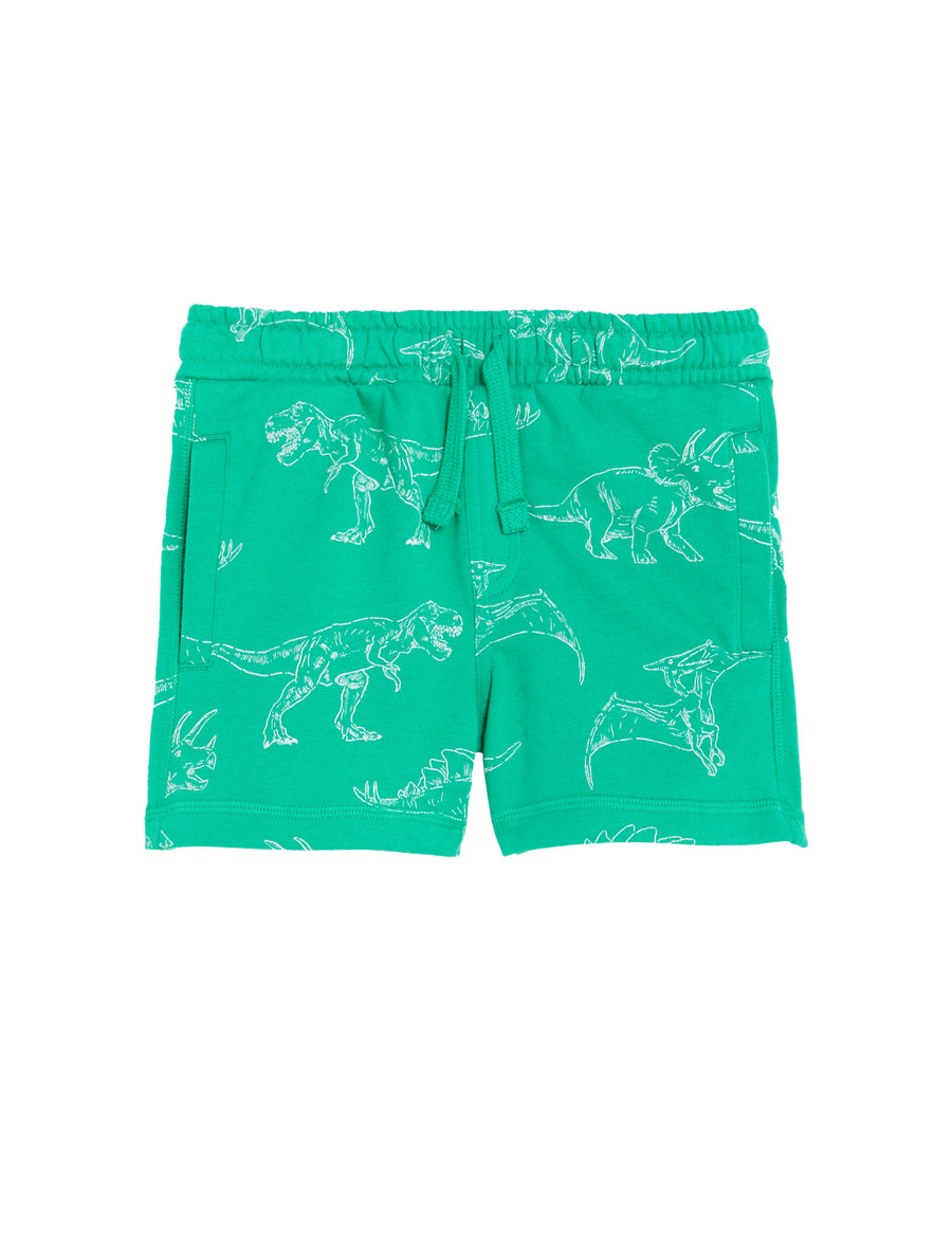 Cotton Rich Dinosaur Shorts