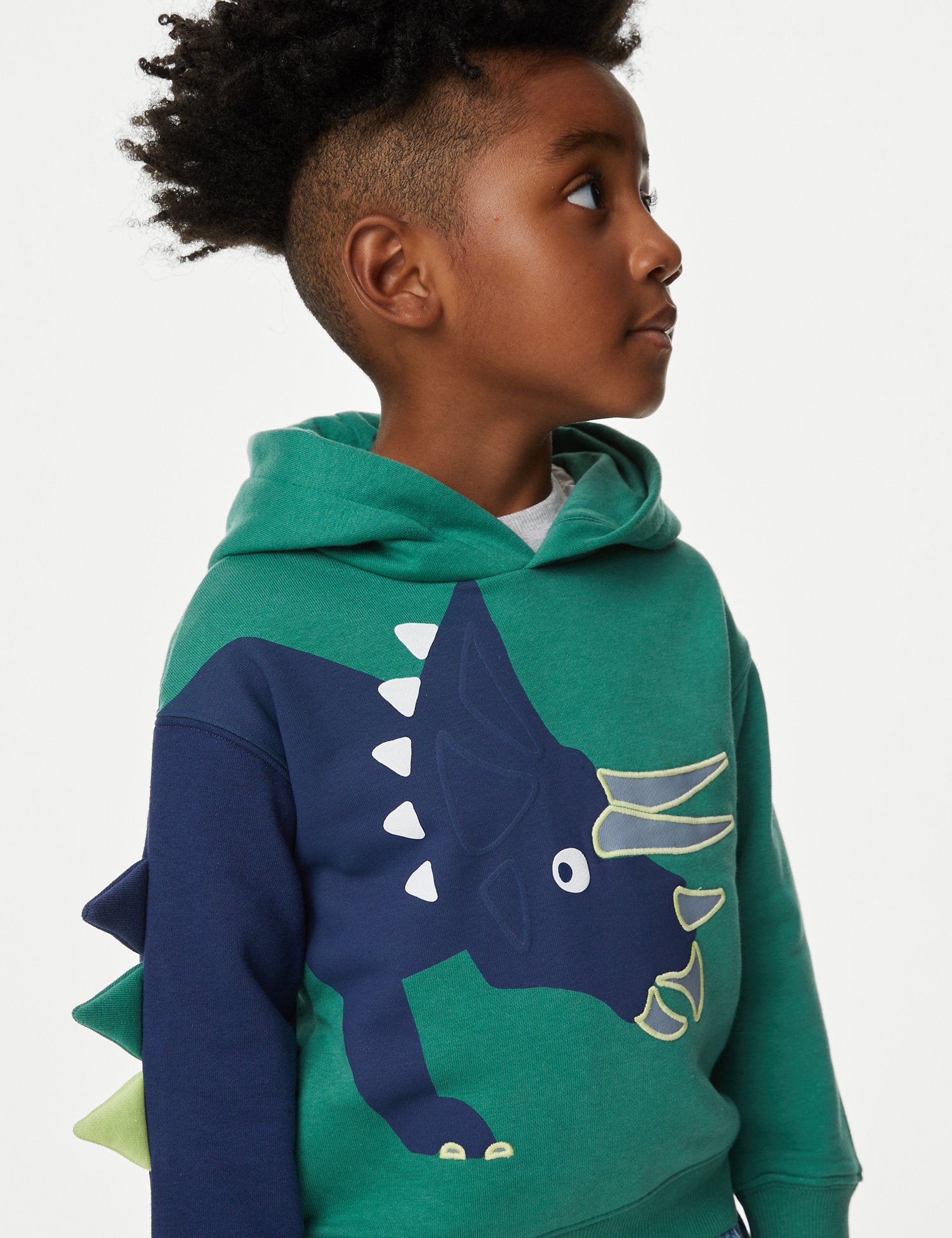 Cotton Rich Dinosaur Hoodie