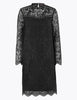 Lace High Neck Shift Dress