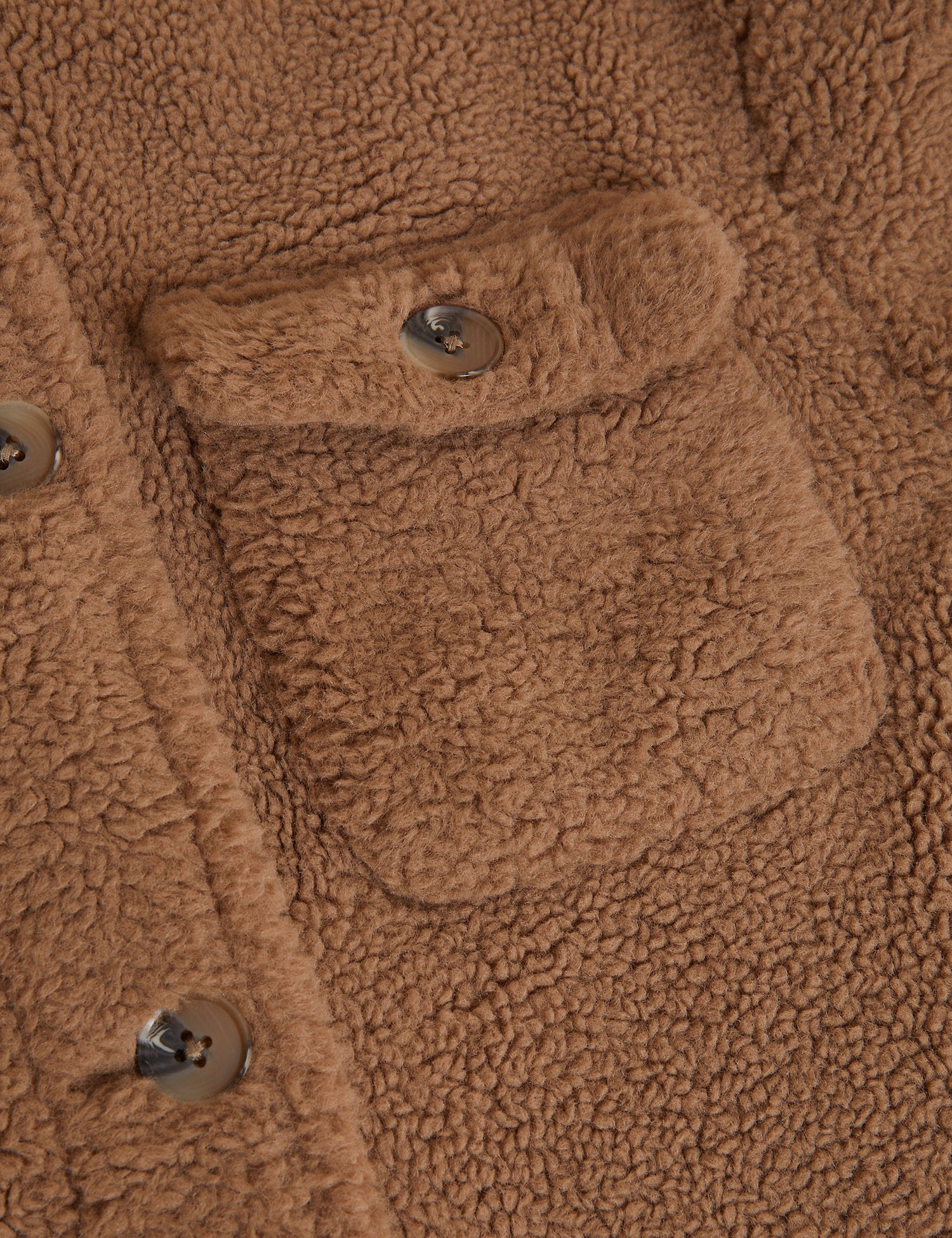 The Teddy Shacket